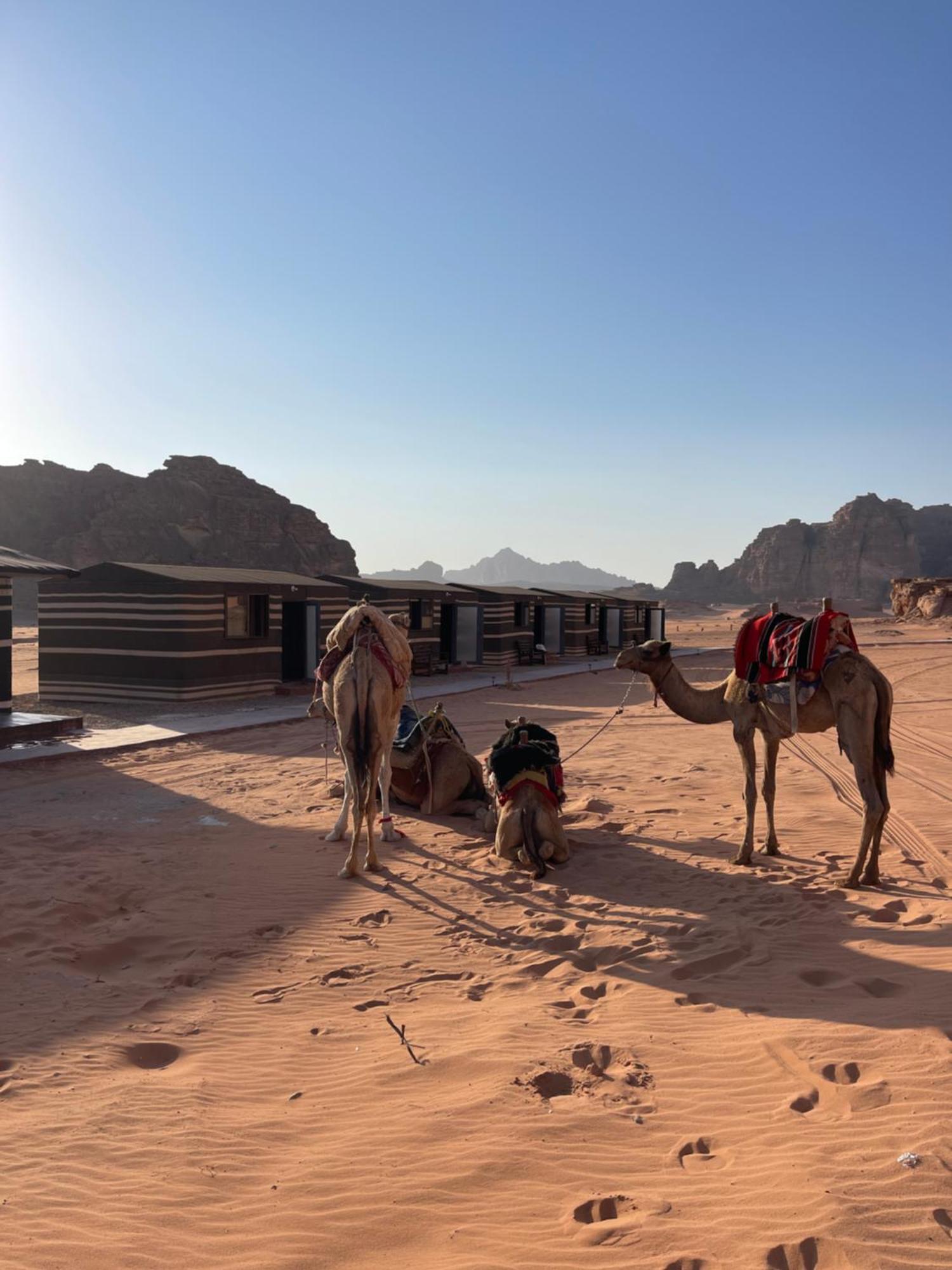 Wadi Rum Magic Camp Экстерьер фото